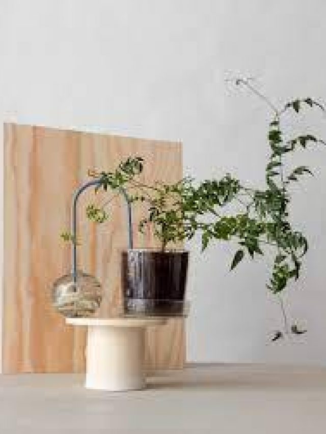 4 Indoor Plant Stand Design Ideas For Home | Hiranandani Parks